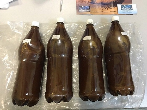 The best Ayahuasca tea online